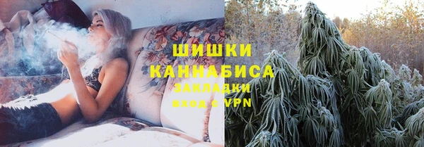 дмт Надым
