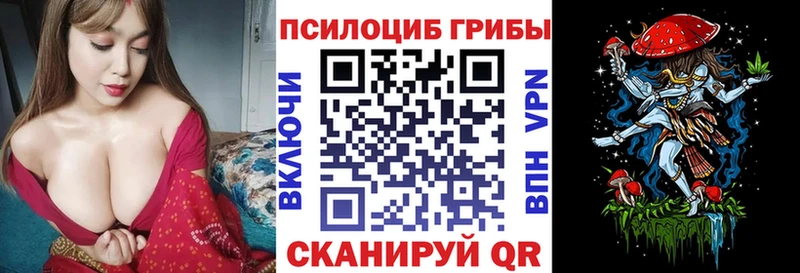 Галлюциногенные грибы MAGIC MUSHROOMS Купить закладки Киселёвск